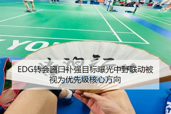 EDG转会窗口补强目标曝光中野联动被视为优先级核心方向 | kaiyun.com